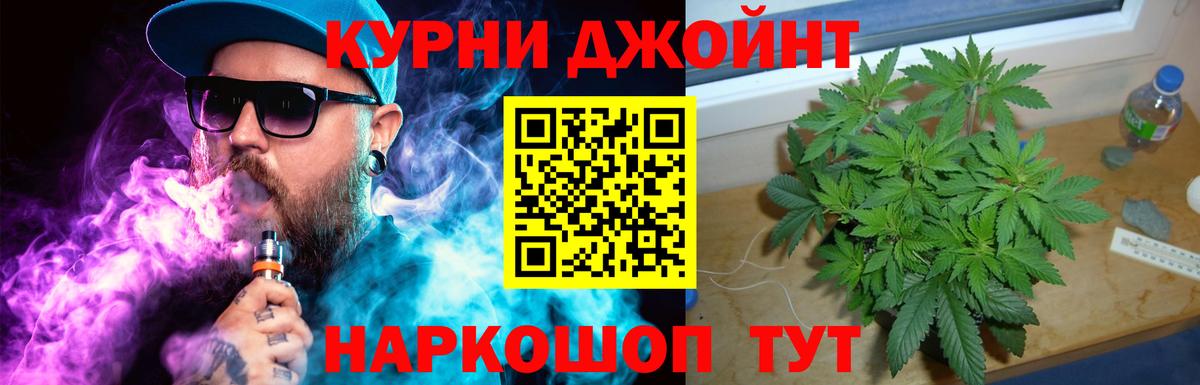 Канабис семена Татарск